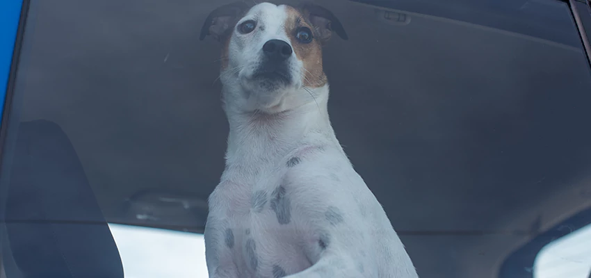 Car Lockout Solutions in Los Altos Hills, California